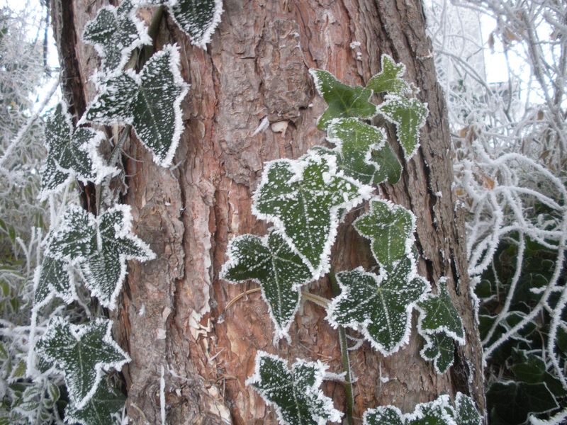 DSCN3345.JPG