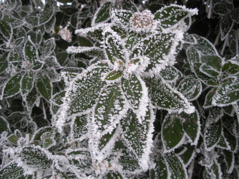 DSCN3346.JPG
