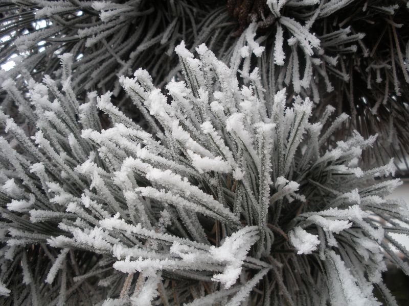 DSCN3354.JPG