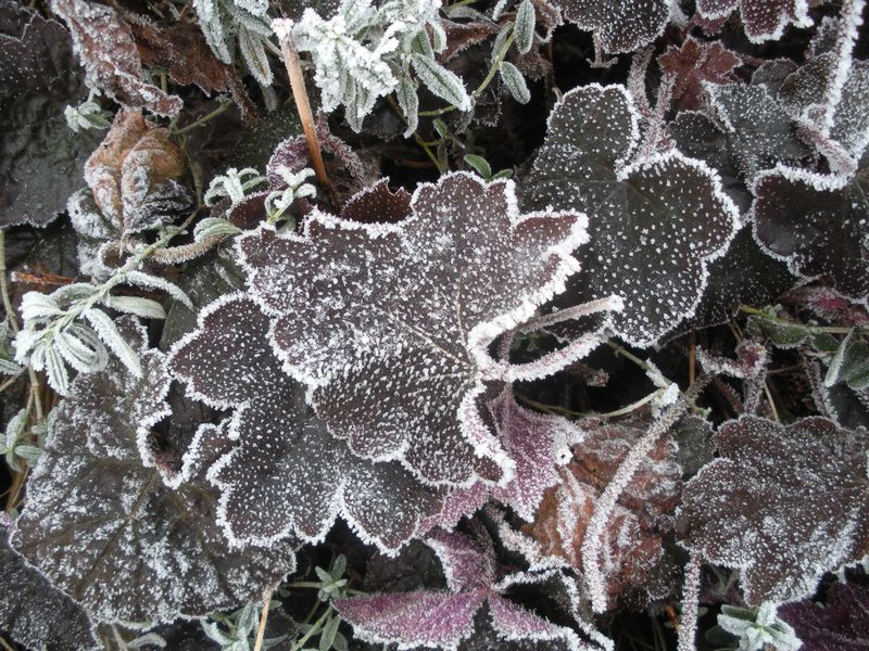 DSCN3356.JPG