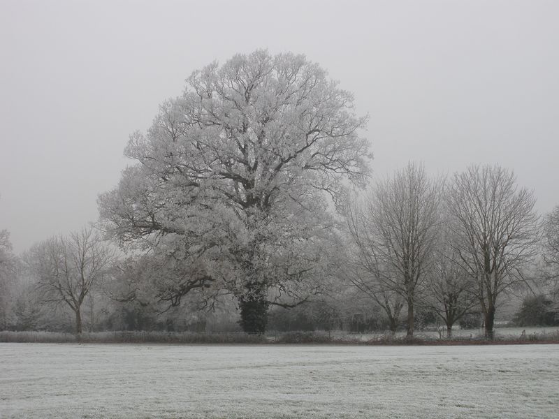 DSCN3357.JPG