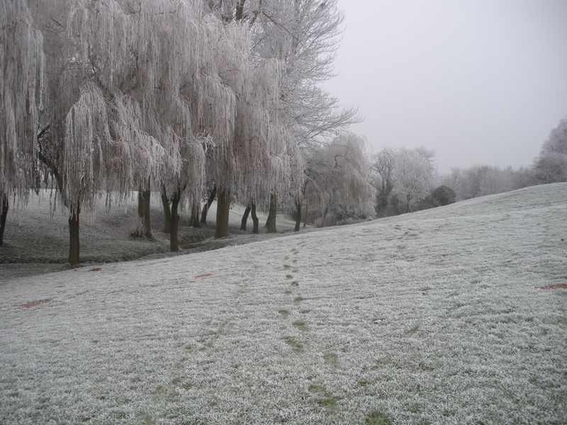 DSCN3366.JPG