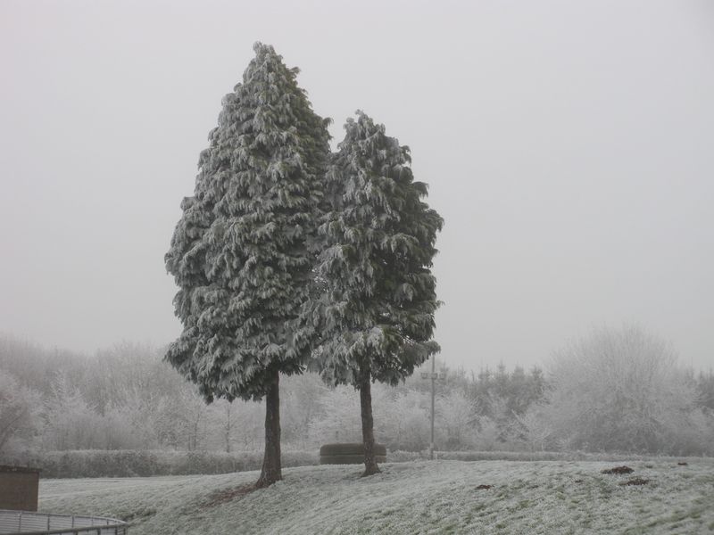 DSCN3386.JPG