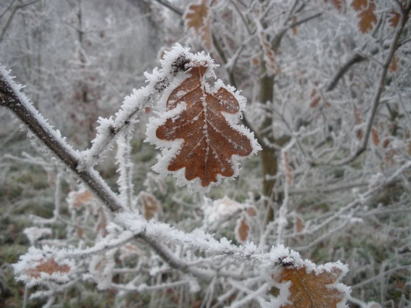 DSCN3421.JPG