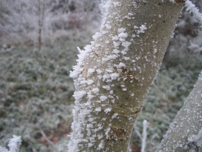 DSCN3425.JPG