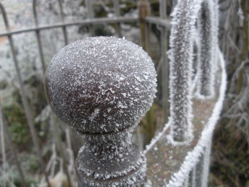 DSCN3428.JPG