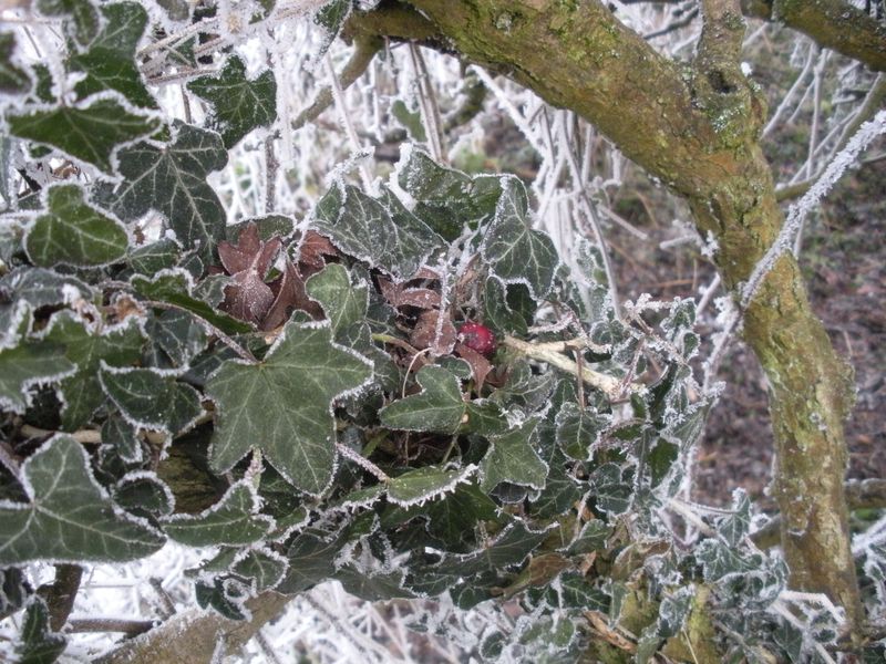 DSCN3429.JPG