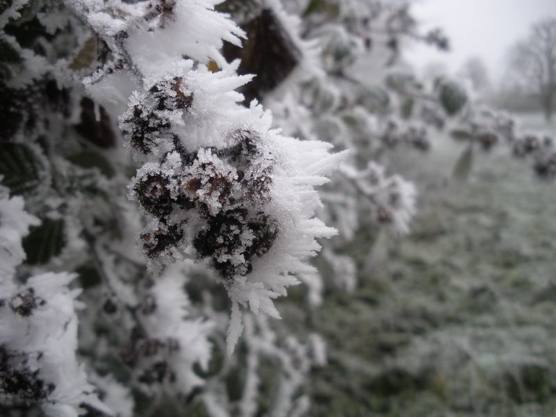 DSCN3441.JPG
