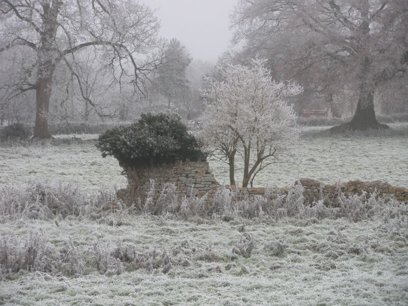 DSCN3456.JPG