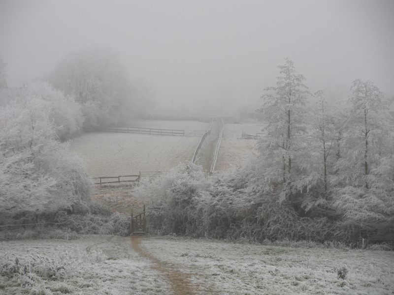 DSCN3459.JPG