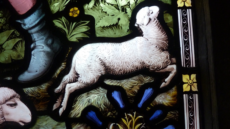 window6.JPG