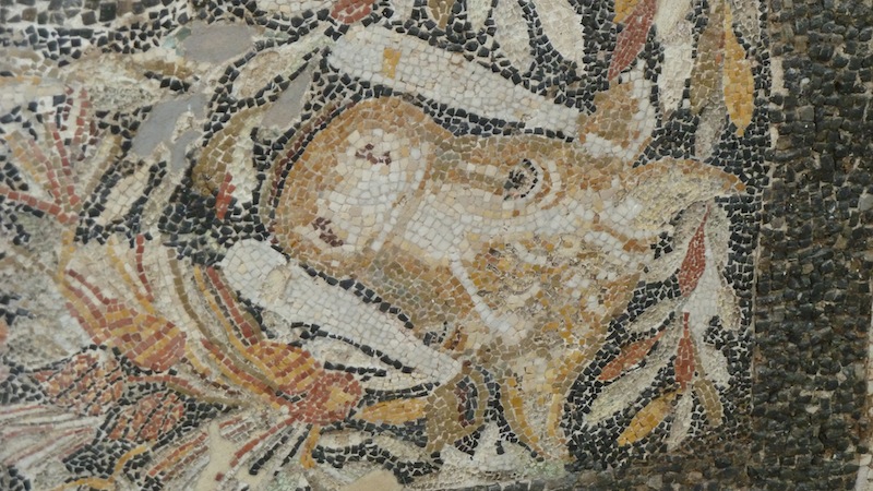 DelosMusuem23.JPG