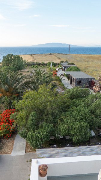 Ecoxenia17.jpg