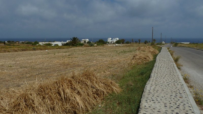 Ecoxenia33.jpg