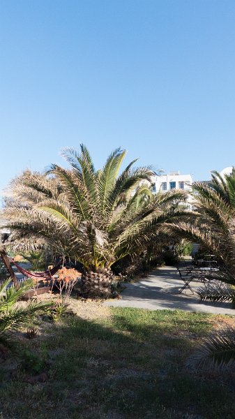 Ecoxenia8.jpg