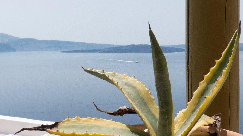 Oia19.jpg