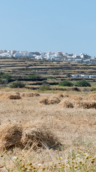 Oia40.jpg