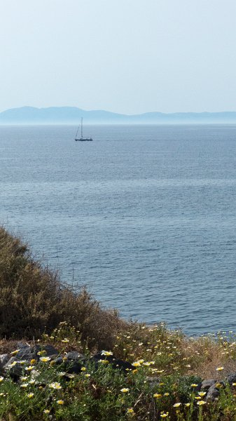 Sea1.jpg