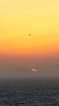 Sunset7