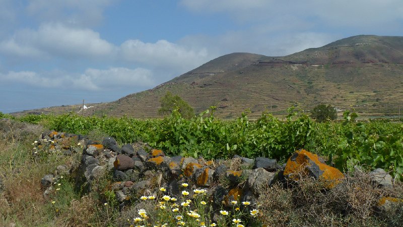 View19.jpg
