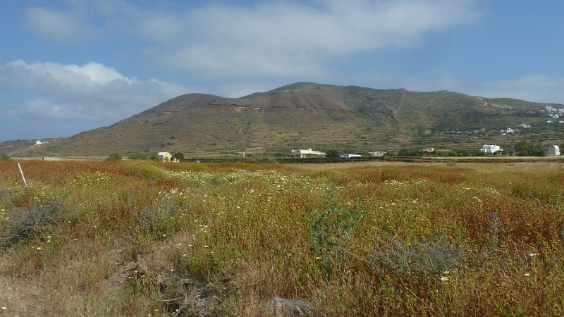 View20.jpg