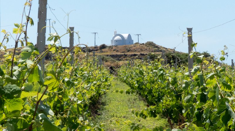 View8.jpg