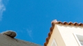 Gatoula2