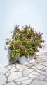 Tinos