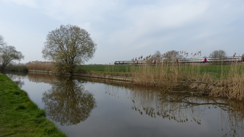 Hanbury6.JPG