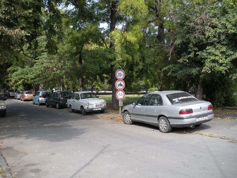 100.JPG