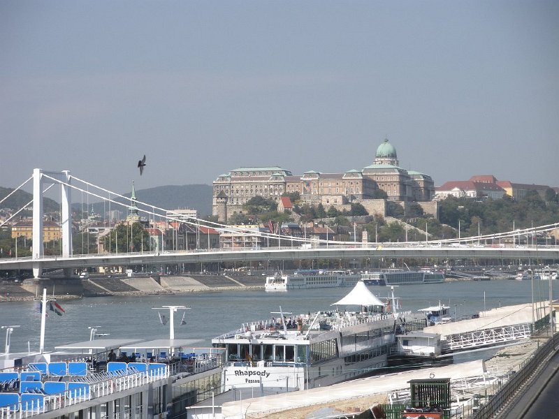 15.JPG