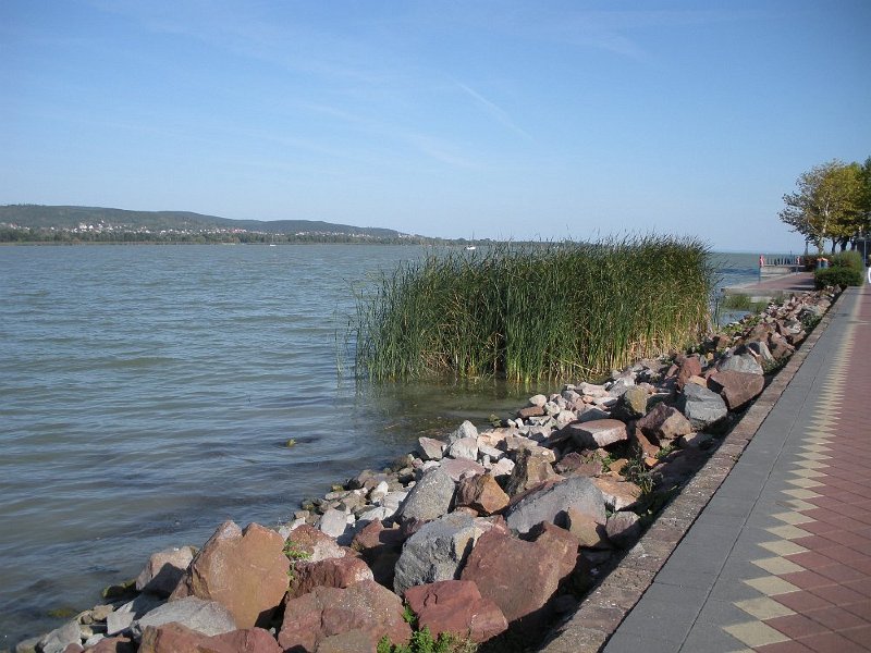 59.JPG