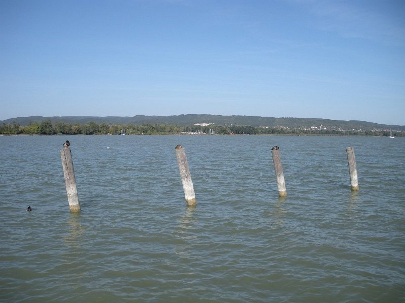 63.JPG