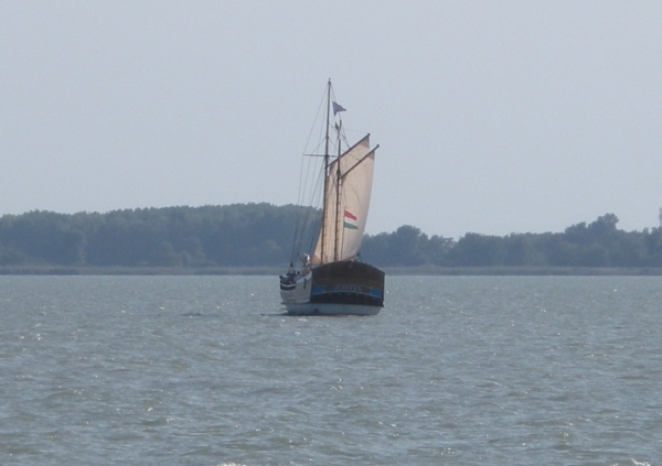 64.JPG