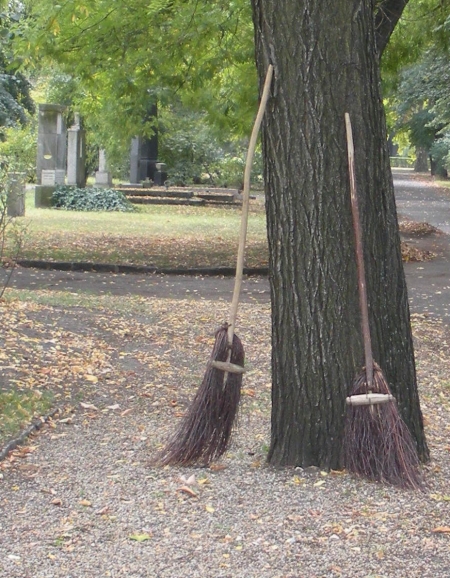 65.JPG