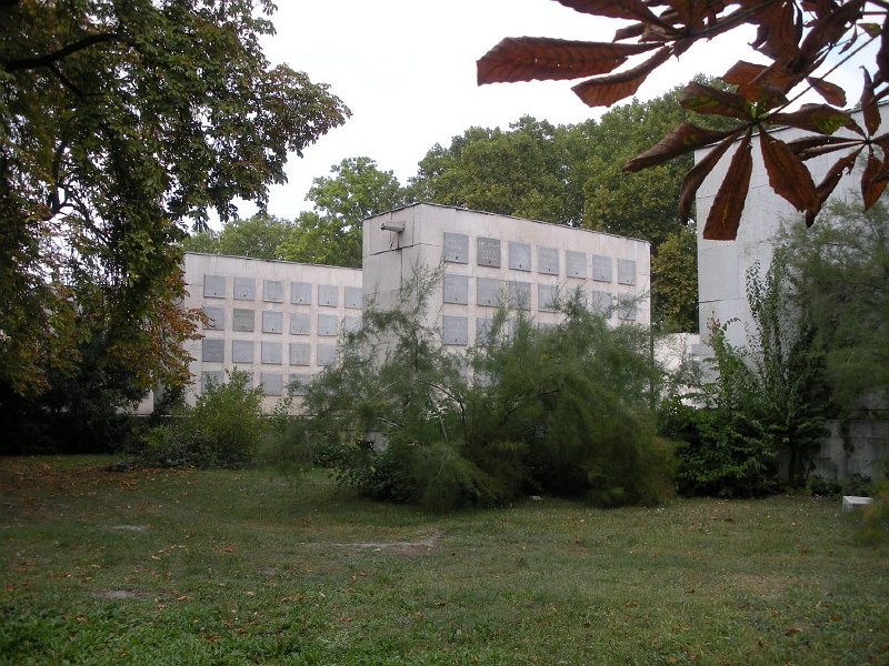 79.JPG