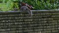 kwoodpark2