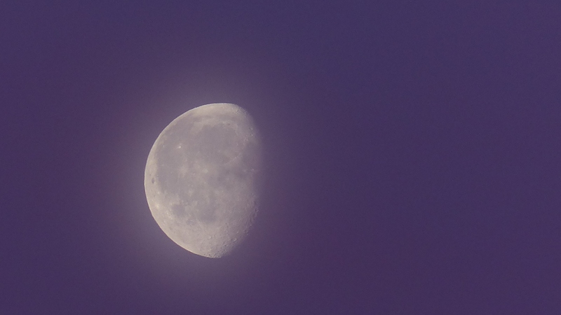 morningmoon1.jpg