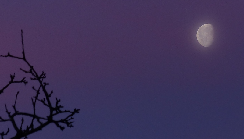 morningmoon2.jpg