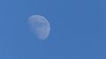 daymoooon