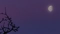 morningmoon2