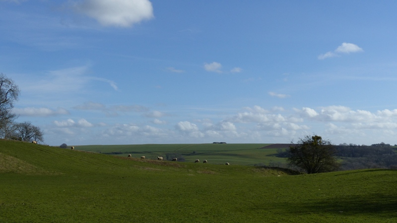 NewarkPark18.JPG