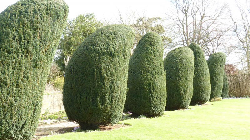 Courts48.JPG