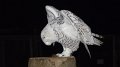 owl1