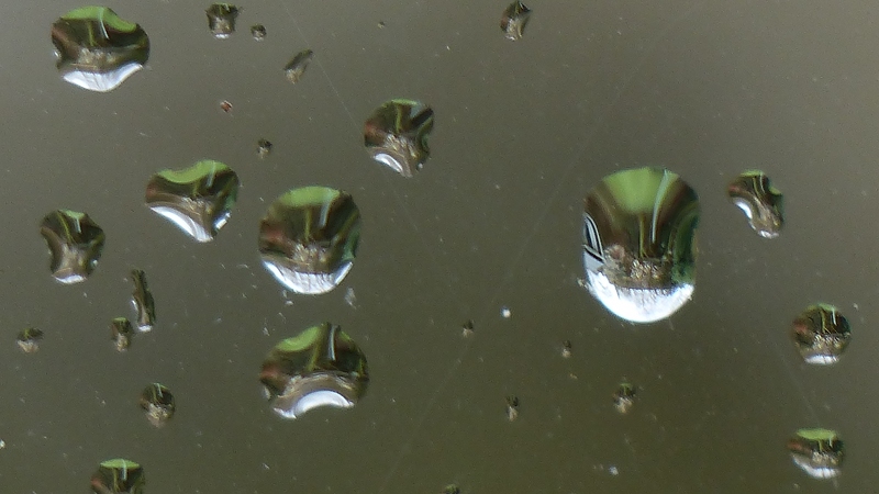 UpsideDownGarden.JPG