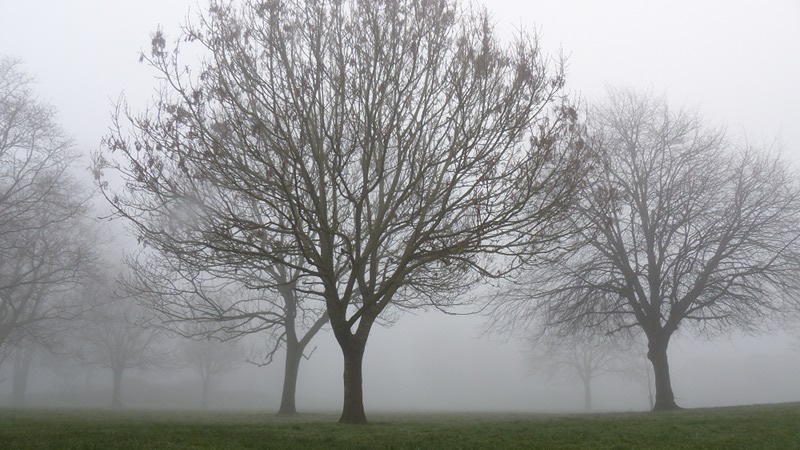 fog1.JPG