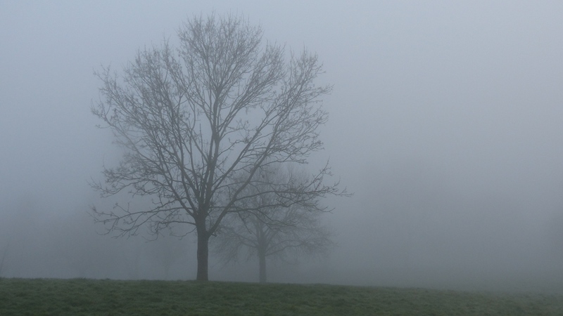 fog2.JPG