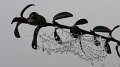 fog6
