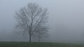 Weather