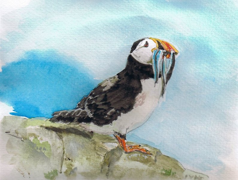 12.jpg - Beak Full, Burrow Bound